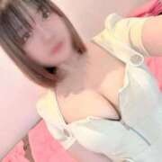 ヒメ日記 2026/02/03 17:30 投稿 るい 石庭