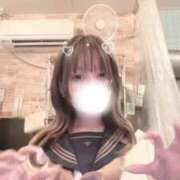 ヒメ日記 2026/02/12 14:00 投稿 るい 石庭