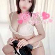 ヒメ日記 2026/02/15 11:50 投稿 るい 石庭