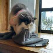 さら お休みごめんなさい🙇🏻‍♀️ Candy×Candy （キャンディ×キャンディ）