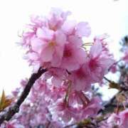 ヒメ日記 2026/02/21 21:28 投稿 さおり 群馬渋川水沢ちゃんこ