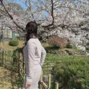 ヒメ日記 2026/04/02 18:30 投稿 しおん シャブール