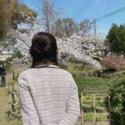 ヒメ日記 2026/04/03 14:00 投稿 しおん シャブール