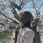 ヒメ日記 2026/04/09 10:30 投稿 しおん シャブール