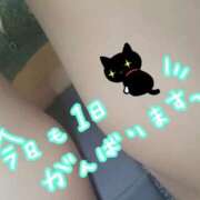 ヒメ日記 2026/09/28 10:49 投稿 れお 奥様プリモ