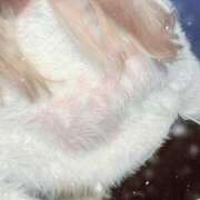 ひな ひな（clubさくら難波店） clubさくら難波店