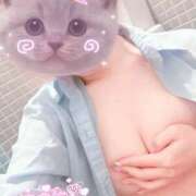 ひな ひな（clubさくら難波店） clubさくら難波店