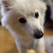 ヒメ日記 2026/02/04 22:02 投稿 りく 美熟女倶楽部Hip's 春日部店