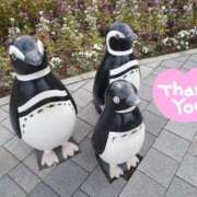 ヒメ日記 2026/02/12 18:46 投稿 みく 性腺熟女100％鶯谷（デリヘル市場）