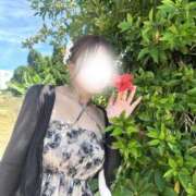 ヒメ日記 2026/03/11 19:15 投稿 蘭【ラン】 ピンクコレクション大阪