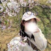 ヒメ日記 2026/04/09 16:30 投稿 蘭【ラン】 ピンクコレクション大阪