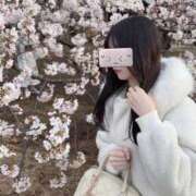 ヒメ日記 2026/04/02 21:21 投稿 しおん 全裸SUPERプレミアム