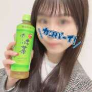 ヒメ日記 2026/01/29 13:16 投稿 しゅう なでし娘