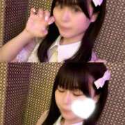 ヒメ日記 2026/04/21 15:31 投稿 しゅう なでし娘