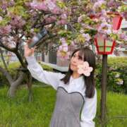 ヒメ日記 2026/04/29 08:02 投稿 しゅう なでし娘