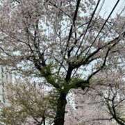 ヒメ日記 2026/04/05 09:56 投稿 えみ 奥様はエンジェル　八王子店