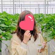 ヒメ日記 2026/01/21 05:55 投稿 吉野 なお こあくまな熟女たち 本厚木店(KOAKUMAグループ)