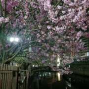 ヒメ日記 2026/04/02 01:19 投稿 吉野 なお こあくまな熟女たち 本厚木店(KOAKUMAグループ)