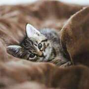 ヒメ日記 2026/03/08 19:24 投稿 雨音 五反田人妻城