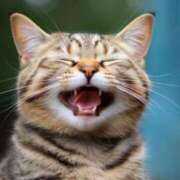 ヒメ日記 2026/03/16 04:55 投稿 雨音 五反田人妻城