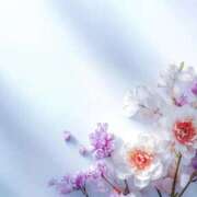 ヒメ日記 2026/01/27 17:54 投稿 坂本 五反田人妻城