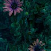 ヒメ日記 2026/02/14 17:43 投稿 坂本 五反田人妻城