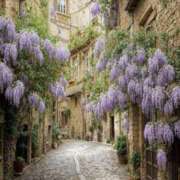 ヒメ日記 2026/02/15 10:33 投稿 坂本 五反田人妻城