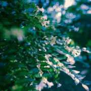 ヒメ日記 2026/02/18 10:08 投稿 坂本 五反田人妻城