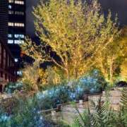 ヒメ日記 2026/03/30 21:24 投稿 すみか 西船人妻花壇