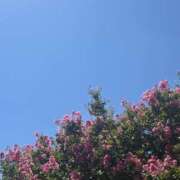 ヒメ日記 2026/01/23 16:59 投稿 麗羅-れいら 熟女10000円デリヘル横浜