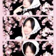 ヒメ日記 2026/03/31 22:52 投稿 一ノ瀬 春 KOBE GOLD