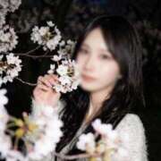 ヒメ日記 2026/04/07 01:03 投稿 一ノ瀬 春 KOBE GOLD