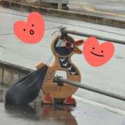 すみ 沖縄みつけた♡ アネックスジャパン