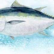 ふじこ 合言葉♡ クラブレア南大阪