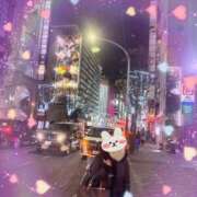 ヒメ日記 2026/01/29 22:12 投稿 桐谷かな プレジデントハウス