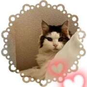 ヒメ日記 2026/02/03 13:01 投稿 桐谷かな プレジデントハウス