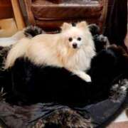 ヒメ日記 2026/02/04 22:45 投稿 桐谷かな プレジデントハウス