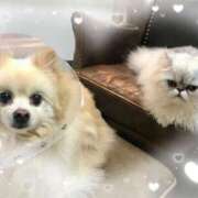 ヒメ日記 2026/02/10 22:46 投稿 桐谷かな プレジデントハウス