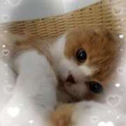 ヒメ日記 2026/02/14 23:02 投稿 桐谷かな プレジデントハウス