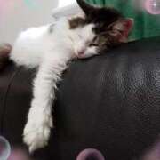 ヒメ日記 2026/02/17 21:45 投稿 桐谷かな プレジデントハウス