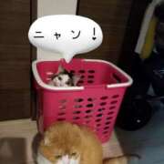 ヒメ日記 2026/02/22 20:30 投稿 桐谷かな プレジデントハウス