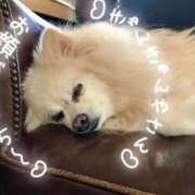 桐谷かな ありがとう プレジデントハウス