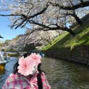 ヒメ日記 2026/03/30 20:00 投稿 桐谷かな プレジデントハウス