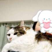 ヒメ日記 2026/04/05 21:00 投稿 桐谷かな プレジデントハウス