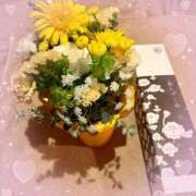 ヒメ日記 2026/04/08 19:03 投稿 桐谷かな プレジデントハウス