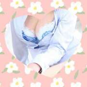 ヒメ日記 2026/04/12 08:00 投稿 桐谷かな プレジデントハウス