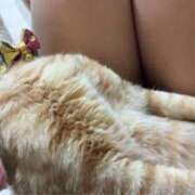 ヒメ日記 2026/03/15 20:11 投稿 夏（なつ） DIVA-ディーバ-【DIVAグループ】