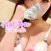 ヒメ日記 2026/02/26 15:45 投稿 るあ 木更津人妻花壇