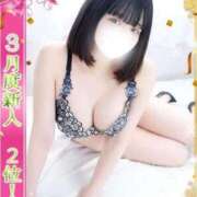 ヒメ日記 2026/04/08 11:08 投稿 さくら One More 奥様　池袋店