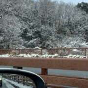 ヒメ日記 2026/02/08 16:28 投稿 りさ 千葉柏ちゃんこ